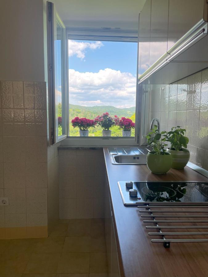 Apartment Kastel Pazin Zewnętrze zdjęcie