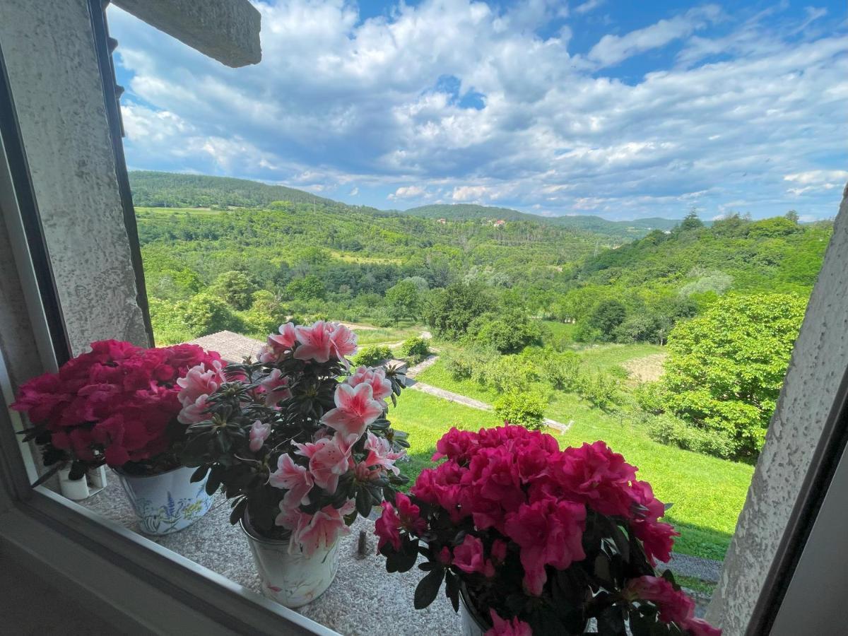 Apartment Kastel Pazin Zewnętrze zdjęcie