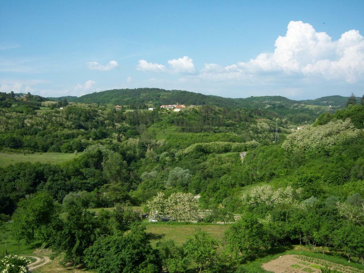 Apartment Kastel Pazin Zewnętrze zdjęcie
